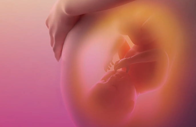 Assistolia fetal é crueldade, diz presidente do Conselho Federal de Medicina