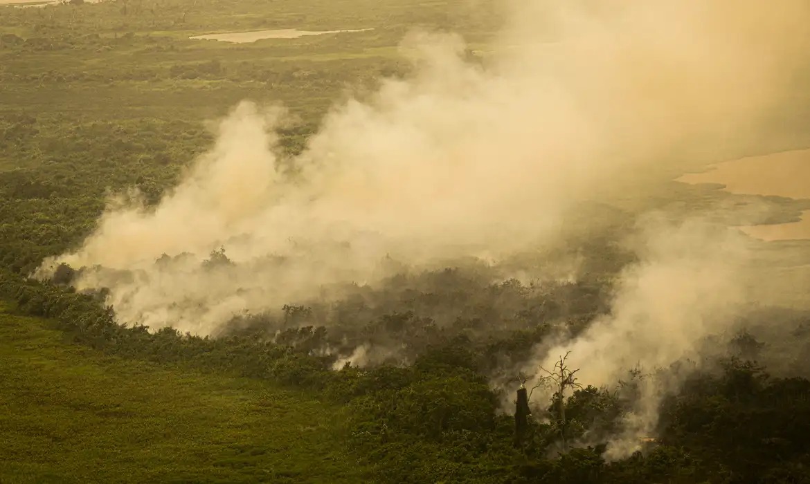 Incêndios podem ter degradado 9% do Pantanal no Brasil nos últimos cinco anos